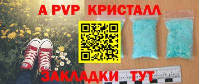 гидра Будённовск