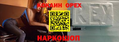 гидра Будённовск