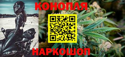 гидра Будённовск