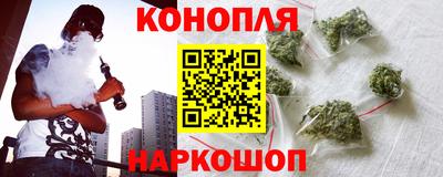 гидра Будённовск