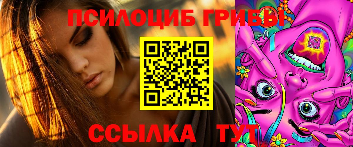 Галлюциногенные грибы Psilocybine cubensis Черкесск